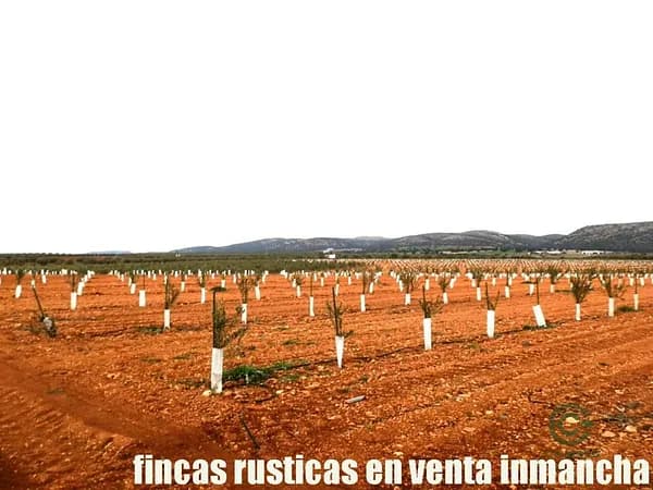 Finca agrícola de 28 ha en venta en Ciudad real