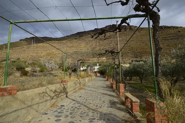 Finca agrícola de 0,95 ha en venta en Gergal, Almeria