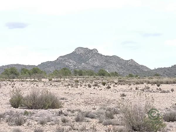 Finca rústica de 3,1881 ha en venta en Salinas, Alicante