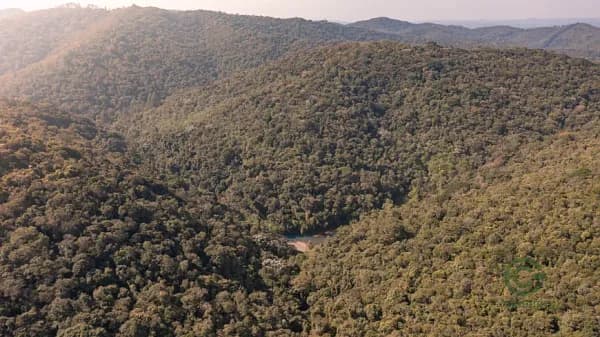 Fazenda rustica de 79 ha para venda em São paulo