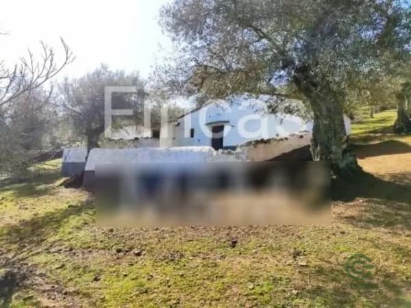 Finca rústica de 0,9813 ha en venta en Segura de león, Badajoz