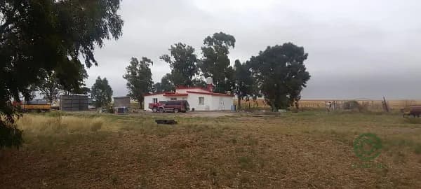 Finca rústica de 629 ha en venta en Río negro province