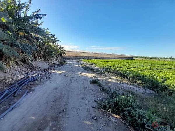 Finca agrícola de 0,4 ha en venta en Motril, Granada