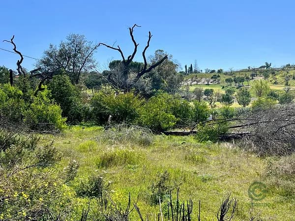 Finca rústica de 0,43 ha en venta en Loulé, Faro