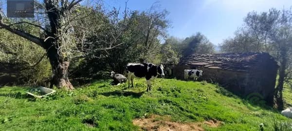 Finca rústica de 2,1 ha en venta en San roque de riomera, Cantabria