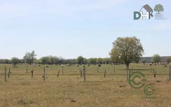 Finca rústica de 140 ha en venta en Salamanca