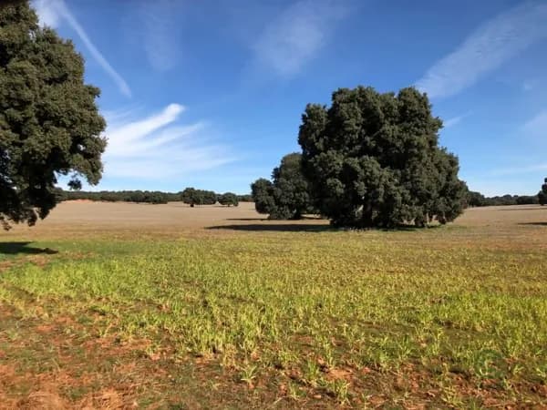 Finca rústica de 1388 ha en venta en Albacete, Albacete