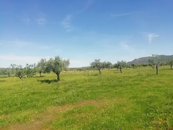 Finca rústica de 2,2 ha en venta en Cáceres