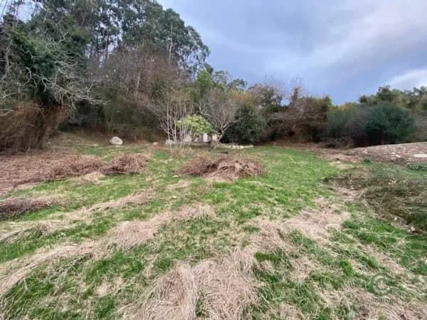 Finca rústica de 0,236 ha en venta en Asturias