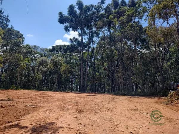 Fazenda florestal de 2,18 ha para venda em São paulo