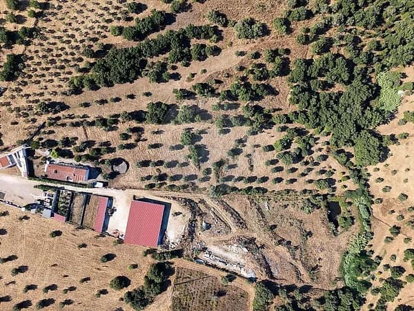 Finca rústica de 1,5 ha en venta en Abrantes, Santarém