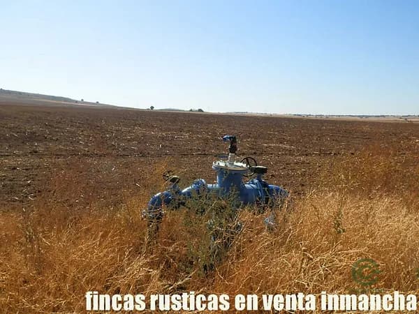 Finca rústica de 184 ha en venta en Cuenca