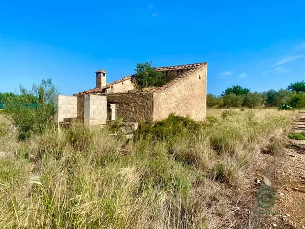 Finca rústica de 1,4639 ha en venta en Santa barbara, Tarragona