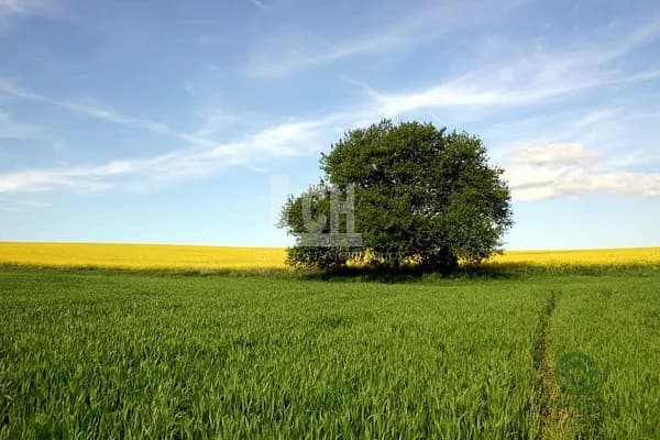 Finca rústica de 4000 ha en venta en Madrid, Madrid