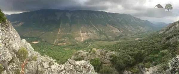 Finca rústica de 800 ha en venta en Cáceres