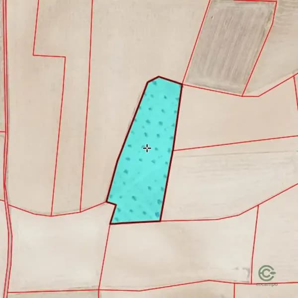 Finca agrícola de 0,71 ha en venta en Santa cruz de mudela, Ciudad real