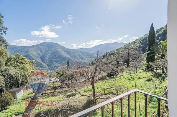 Finca rústica de 30 ha en venta en Jubrique, Malaga