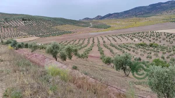 Finca rústica de 12 ha en venta en Jaén