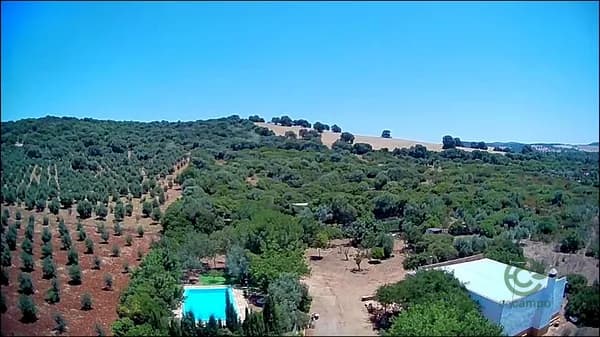 Finca rústica de 2,9953 ha en venta en Arcos de la frontera, Cadiz