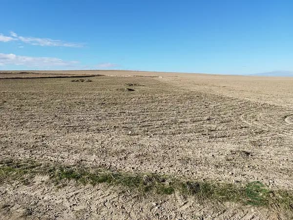 Finca agrícola de 0,7245 ha en venta en Madrid