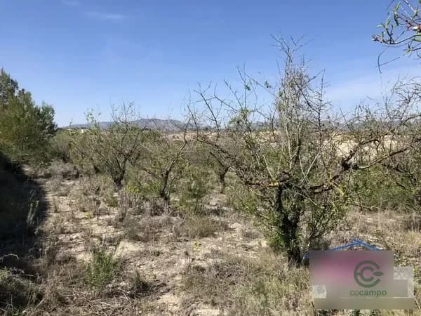 Finca agrícola de 1,1226 ha en venta en Albaida, Valencia