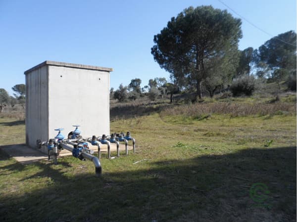 Finca rústica de 1,9 ha en venta en Huelva