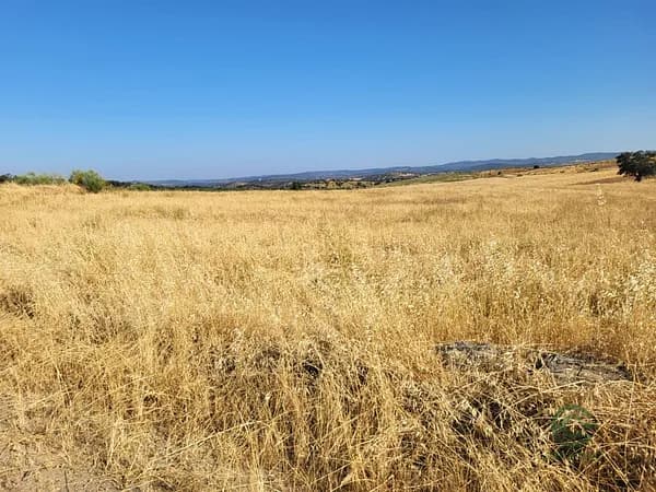 Finca rústica de 4,29 ha en venta en Valverde de llerena, Badajoz