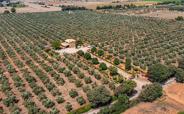 Finca rústica de 17,417 ha en venta en Sencelles, Baleares