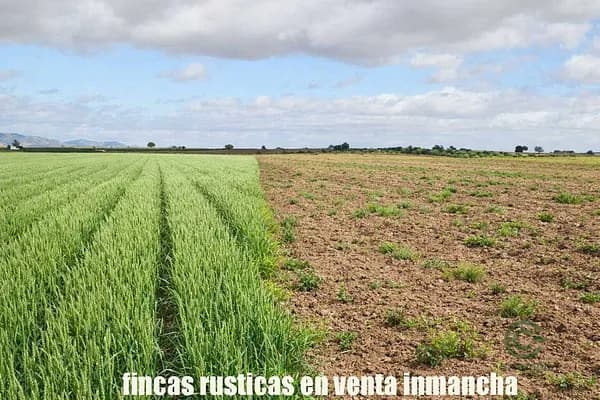 Finca agrícola de 9 ha en venta en Ciudad real