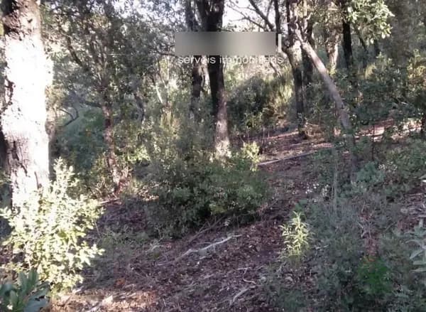 Finca rústica de 0,24 ha en venta en Vacarisses, Barcelona