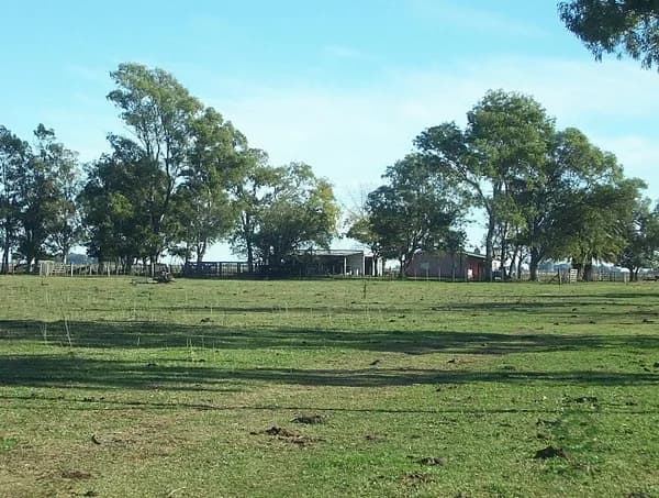 Finca rústica de 300 ha en venta en Buenos aires