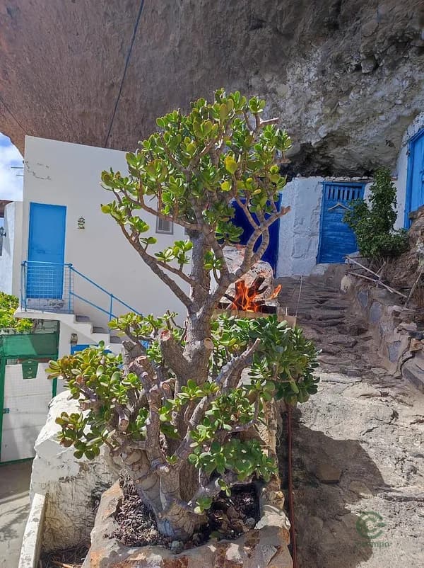 Casa de 0,0065 ha en venta en Tejeda, Las palmas