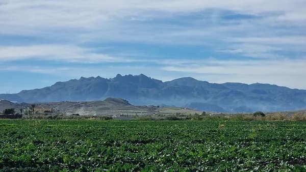 Finca agrícola de 0,9934 ha per a venda a Almeria