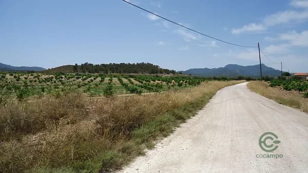 Finca agrícola de 1,41 ha en venta en Murcia