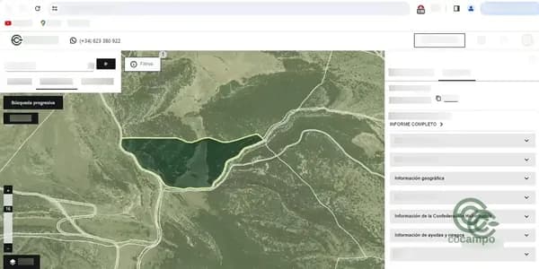 Finca rústica de 14,56 ha en venta en Castellón