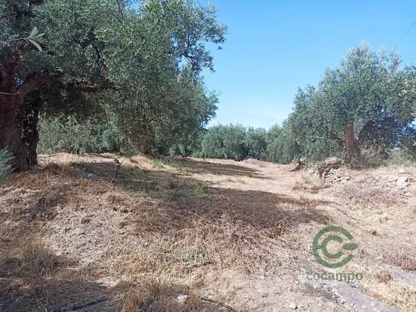 Finca rústica de 1 ha en venta en Almería