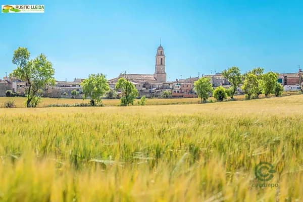 Finca rústica de 0,0585 ha en venta en Rocafort de queralt, Tarragona