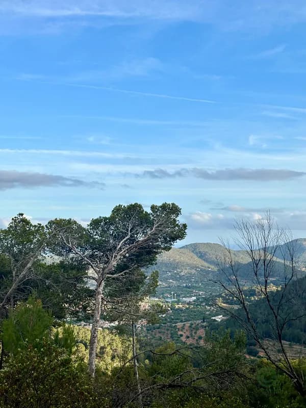 Finca rústica de 1,2241 ha en venta en Islas baleares