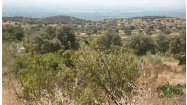 Finca rústica de 650 ha en venta en Sevilla