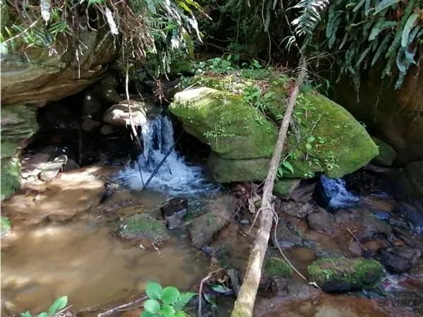 Finca rústica de 0,47 ha en venta en Antioquia