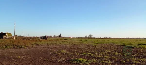 Finca agrícola de 32 ha en venta en Santa fe