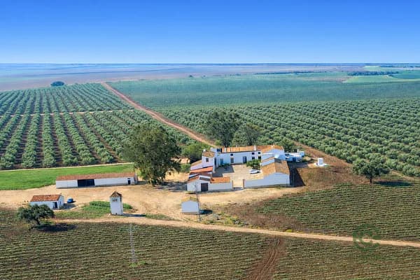 Finca rústica de 206 ha en venta en Badajoz