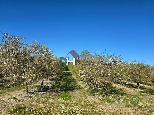 Finca agrícola de 162 ha en venta en Cáceres