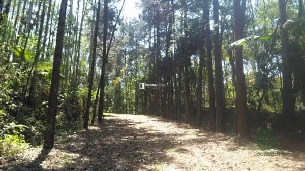 Terra urbana de 12,8 ha para venda em São paulo