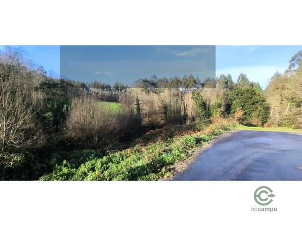 Finca rústica de 0,4564 ha en venta en La coruña