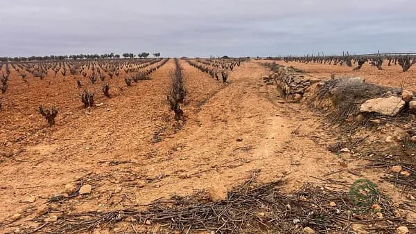 Finca agrícola de 0,9408 ha en venta en Casas - ibañez, Albacete