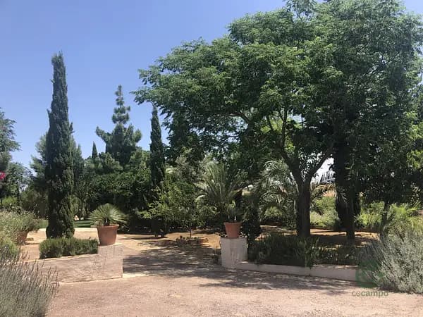 Finca rústica de 38 ha en venta en Sevilla