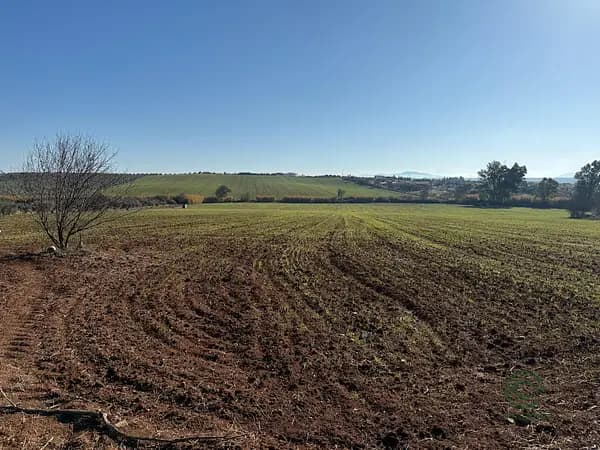 Finca agrícola de 45 ha en venta en Badajoz