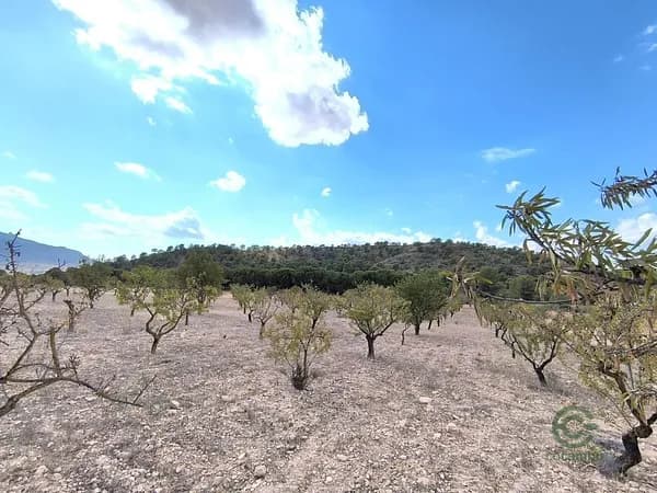 Finca rústica de 0,8266 ha en venta en Yecla, Murcia