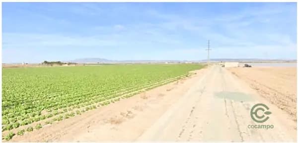 Finca agrícola de 34,129 ha en alquiler en Murcia